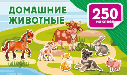 Zwierzęta domowe
