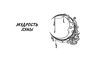Tarot siła dzikiego Księżyca. 44 karty i instrukcja do wróżenia