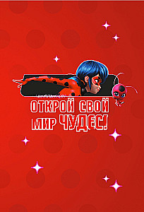 Lady Bug i Super Kot. Cudowny dziennik z ankietami i naklejkami