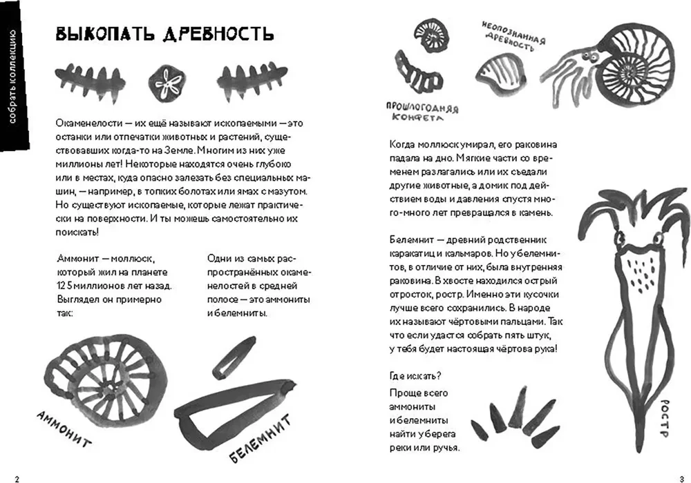 50 познавательных игр на природе