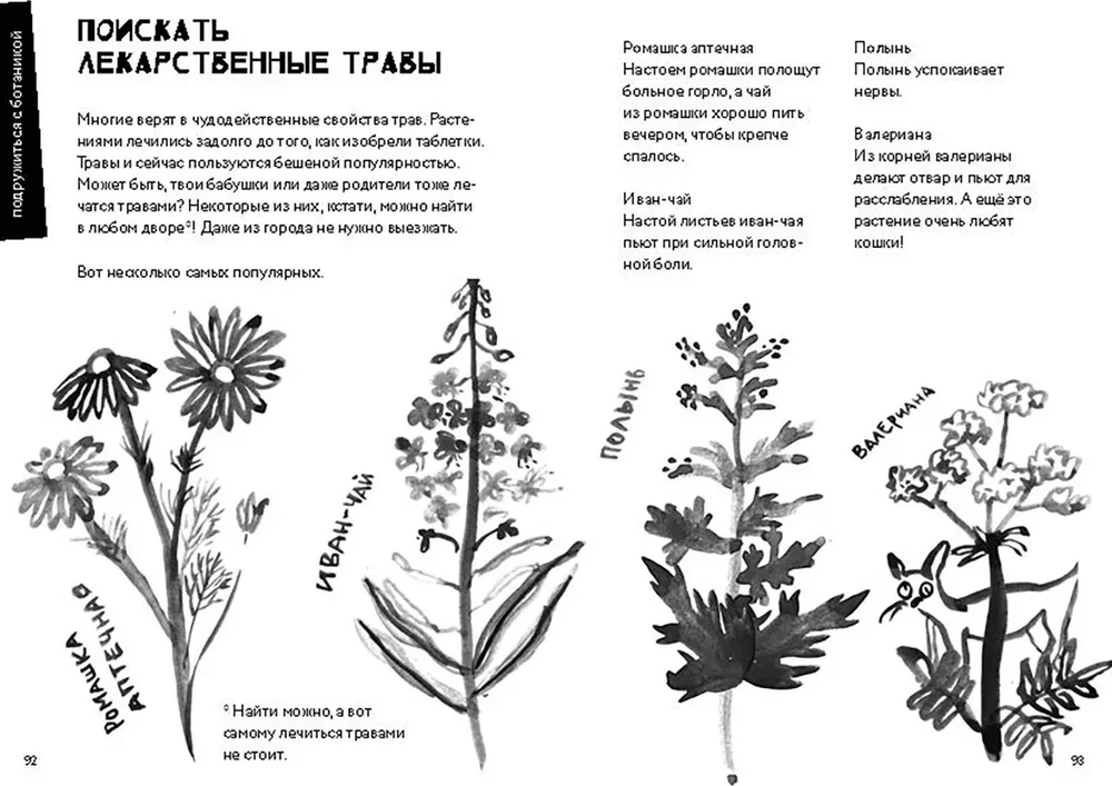 50 познавательных игр на природе