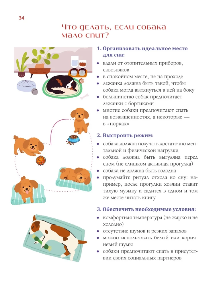 Abecadło właściciela psa. Ilustrowany przewodnik po utrzymaniu i wychowaniu psa