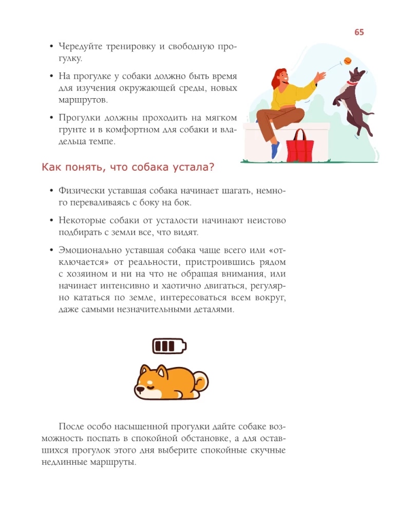 Abecadło właściciela psa. Ilustrowany przewodnik po utrzymaniu i wychowaniu psa
