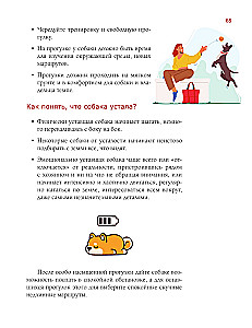 Abecadło właściciela psa. Ilustrowany przewodnik po utrzymaniu i wychowaniu psa