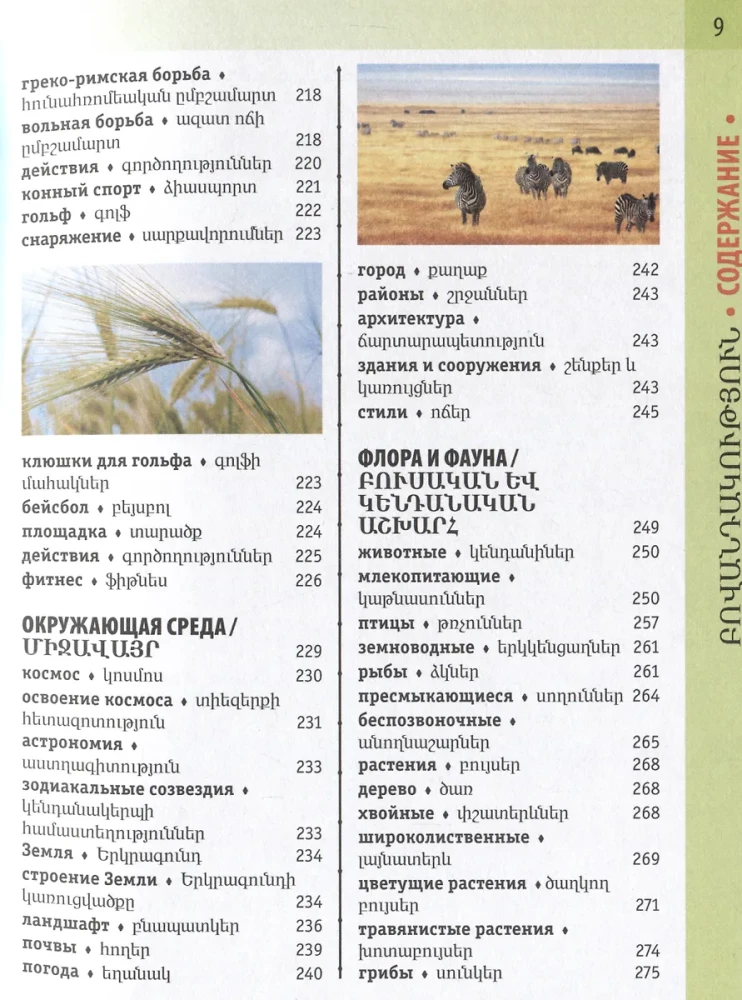 Ormiańsko-rosyjski słownik wizualny z transkrypcją