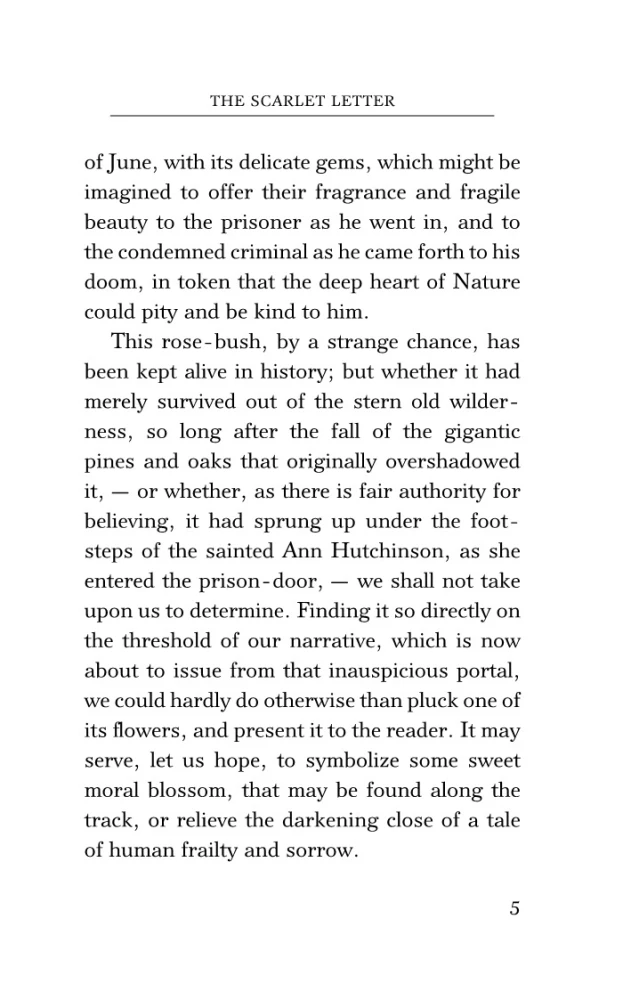 The Scarlet Letter
