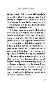The Scarlet Letter