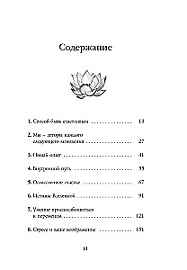 Szczęście według zen. Sztuka kochania tego, co jest, i tworzenia tego, czego pragnie się