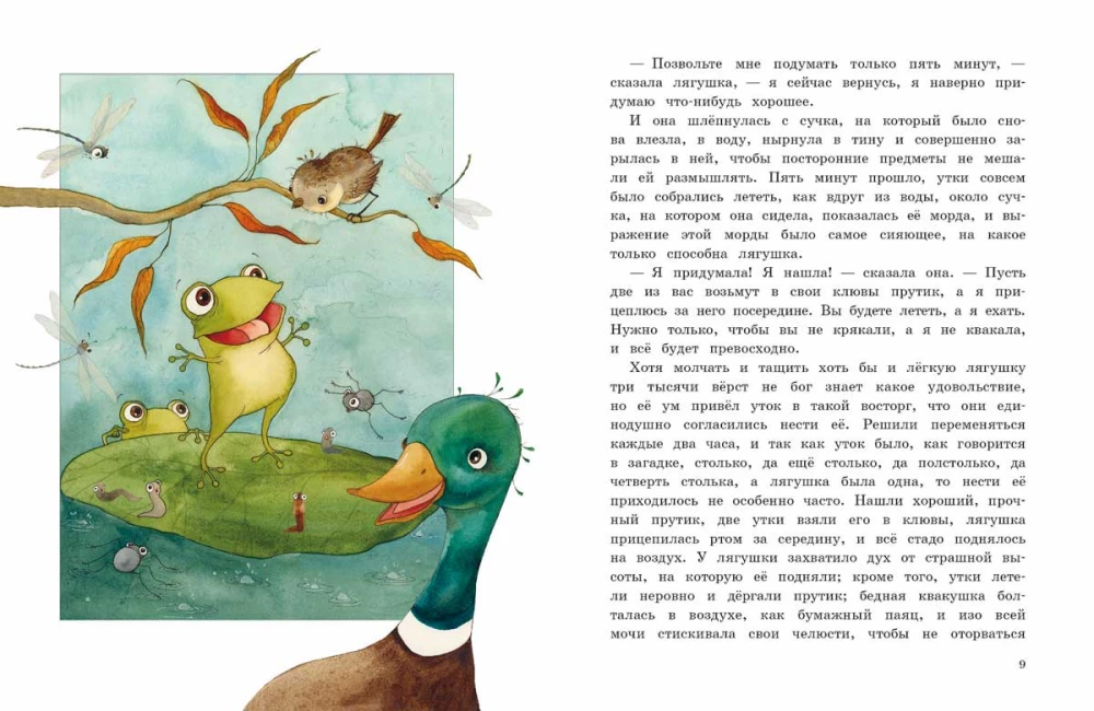 Żaba-podróżniczka