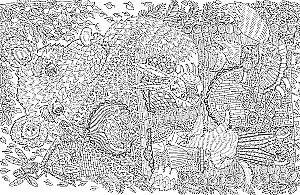 Любимая сказка. Прятки, загадки и раскраски