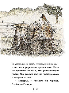 Skrzydlate koty