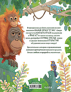 Baby Orangutan. Adventures in the Tropics