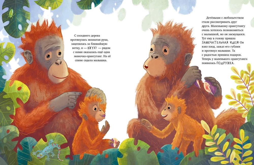 Baby Orangutan. Adventures in the Tropics