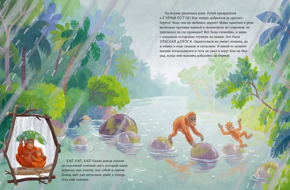 Baby Orangutan. Adventures in the Tropics