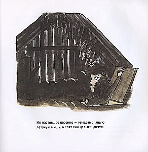 Erstaunliche Fledermäuse