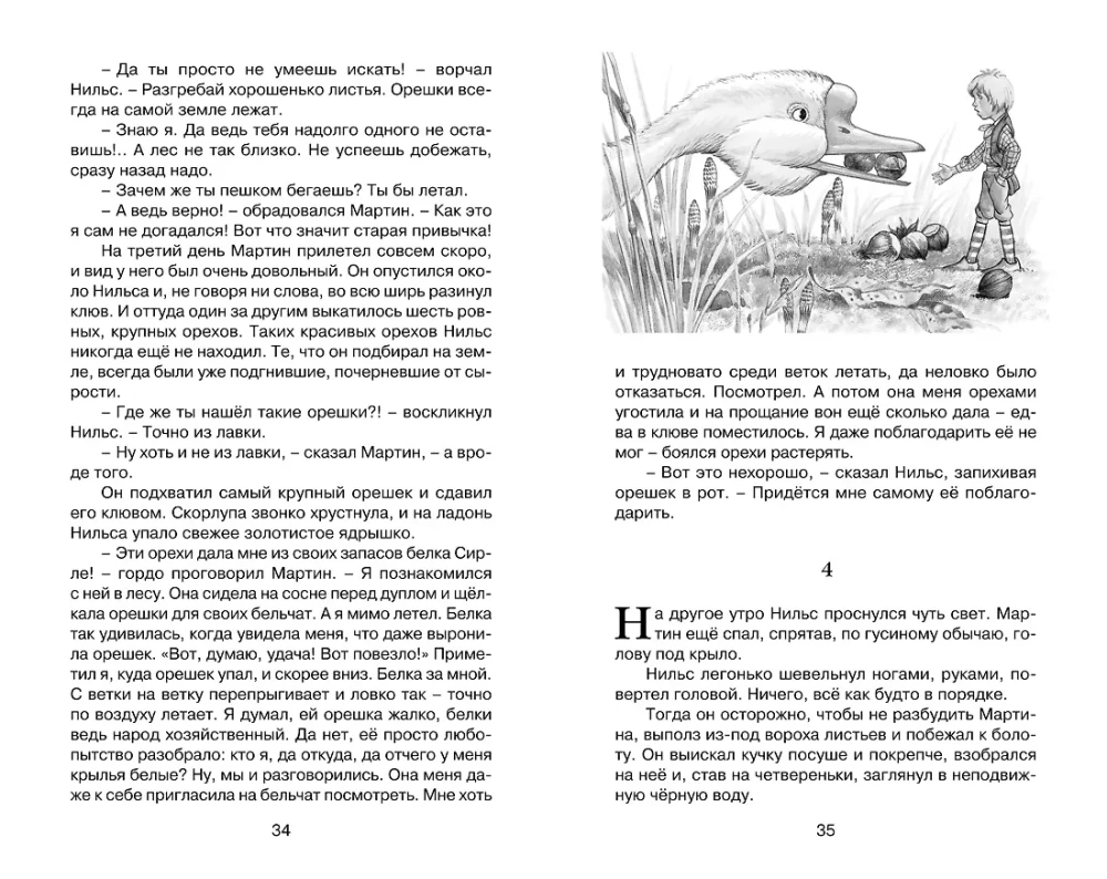 Чудесное путешествие Нильса с дикими гусями