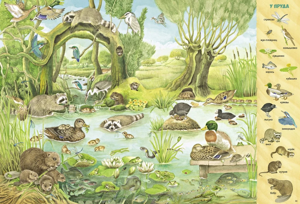 Find and Show. 1000 Animals
