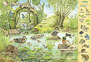 Find and Show. 1000 Animals