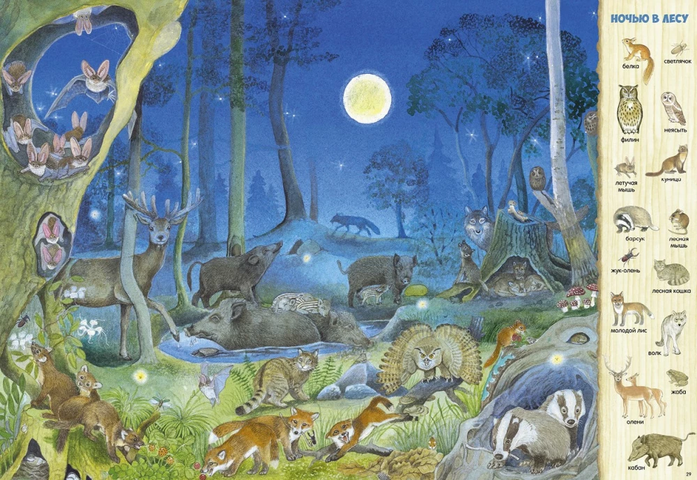 Find and Show. 1000 Animals