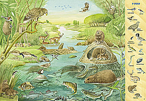 Find and Show. 1000 Animals