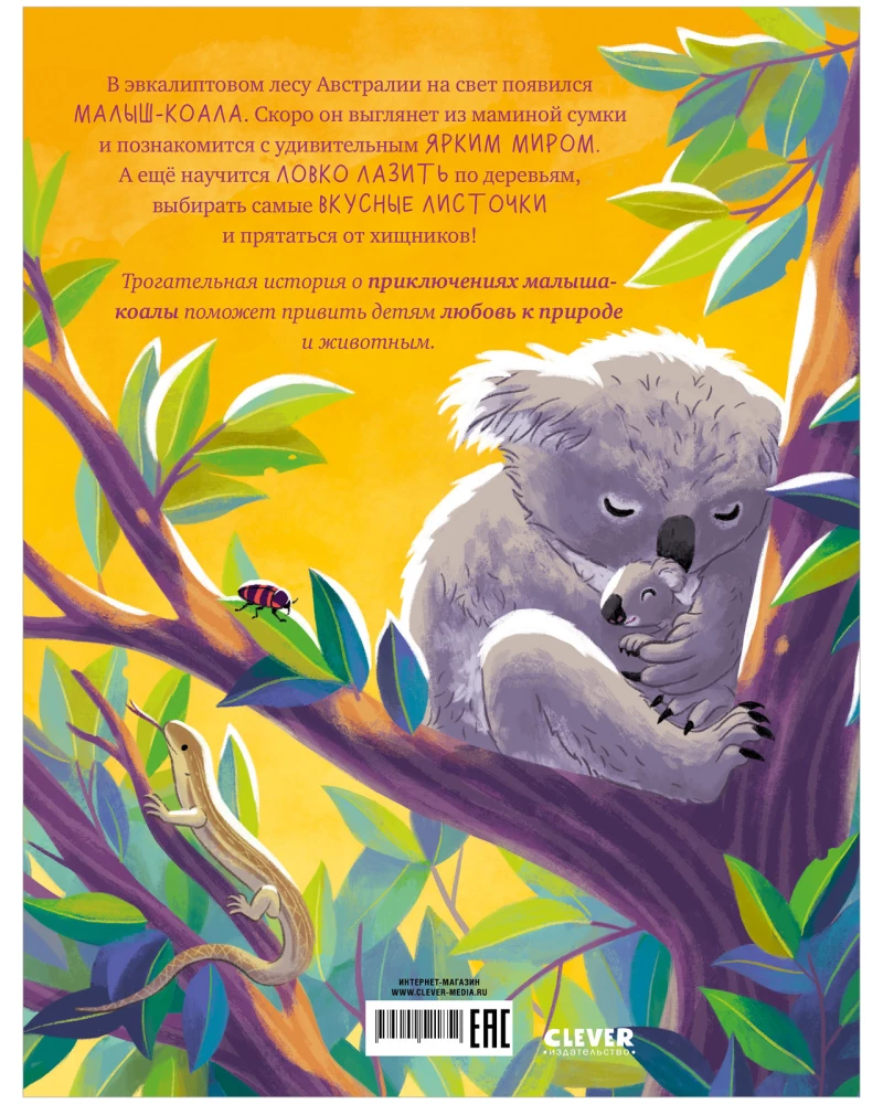 Little Koala. Adventures in the Eucalyptus Forest