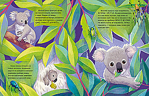 Little Koala. Adventures in the Eucalyptus Forest