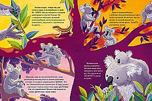 Little Koala. Adventures in the Eucalyptus Forest