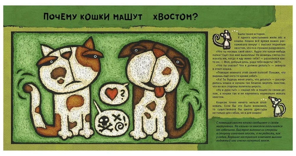 Кошачьи почему