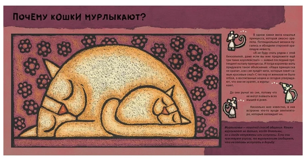 Кошачьи почему