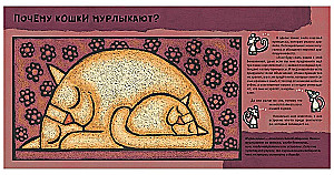 Кошачьи почему