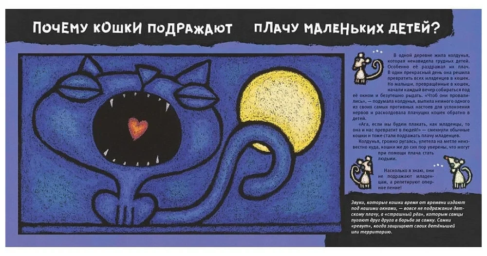 Кошачьи почему