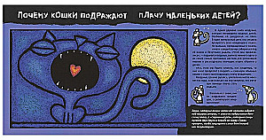 Кошачьи почему