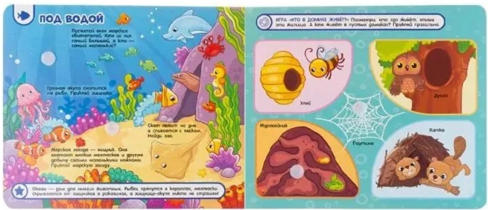 Kto gdzie mieszka, kto co je. Książka z rzepami