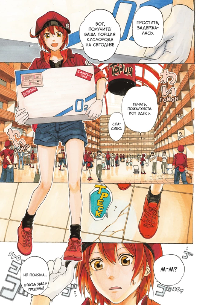 Cells at Work. Volume 1