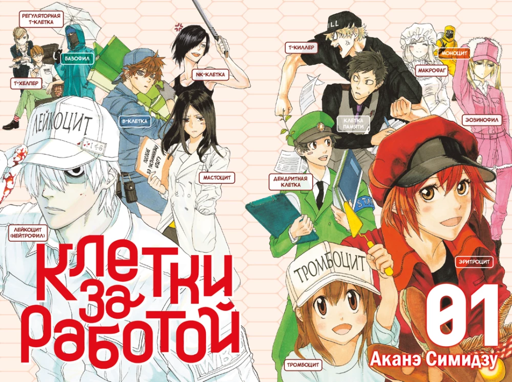Cells at Work. Volume 1