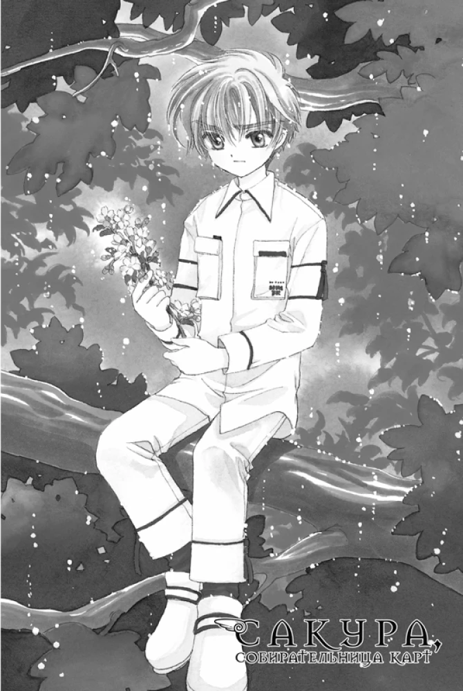 Sakura, zbieraczka kart. Tom 8