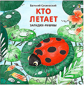 Kes lendab. Mõistatused-rühmad