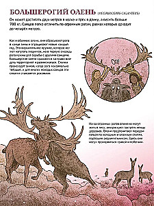 Primitive World: Humans and Animals
