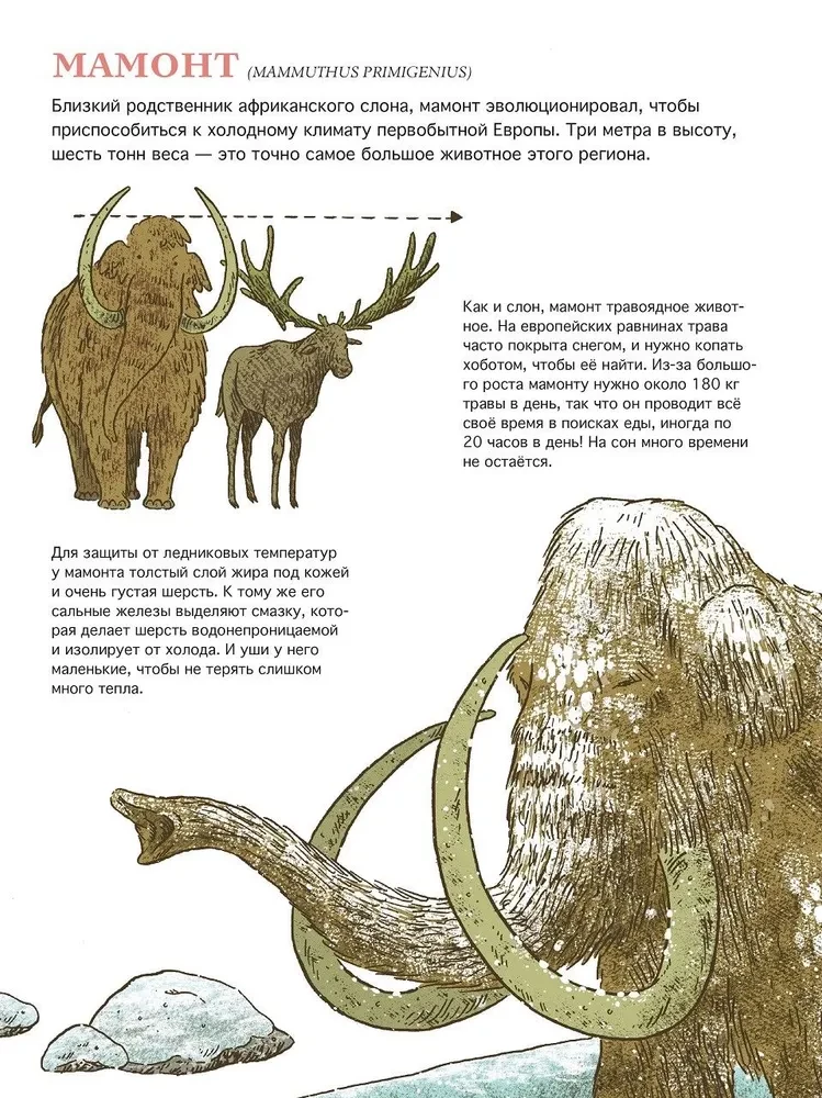 Primitive World: Humans and Animals
