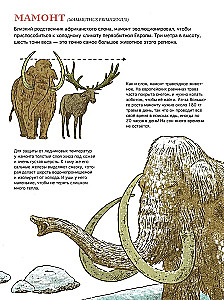 Primitive World: Humans and Animals