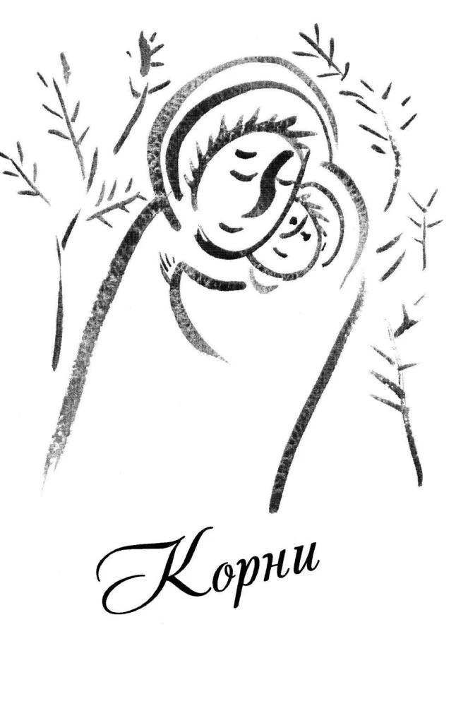 Aia puu