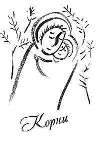 Aia puu