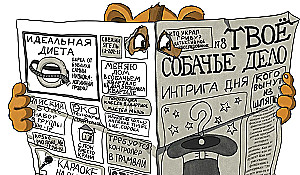 Кто украл гриву