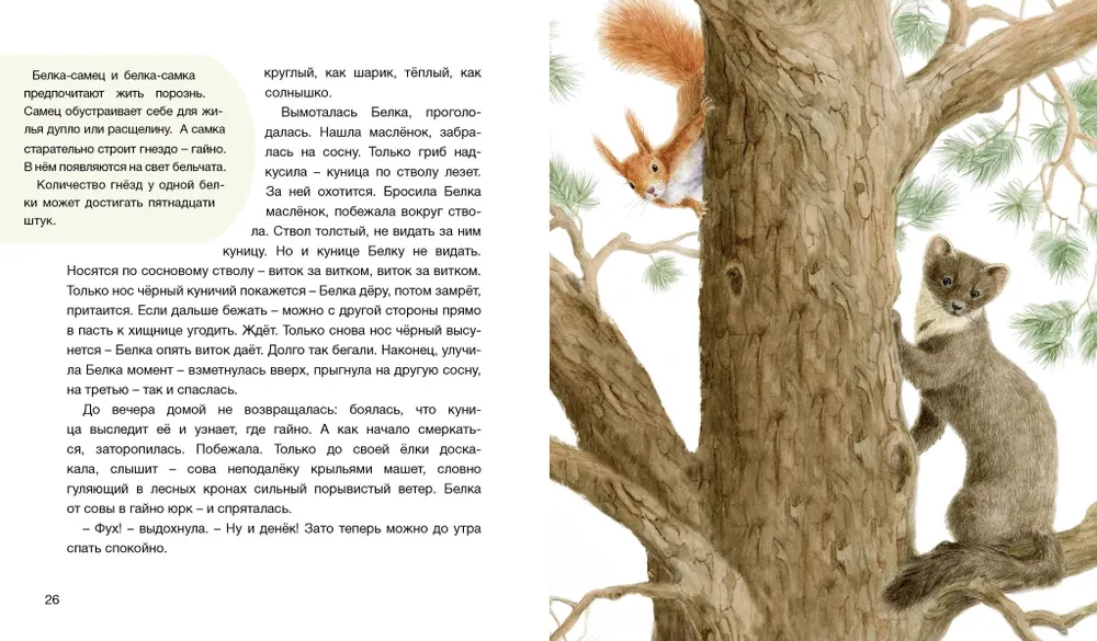 The Forest Tells Tales