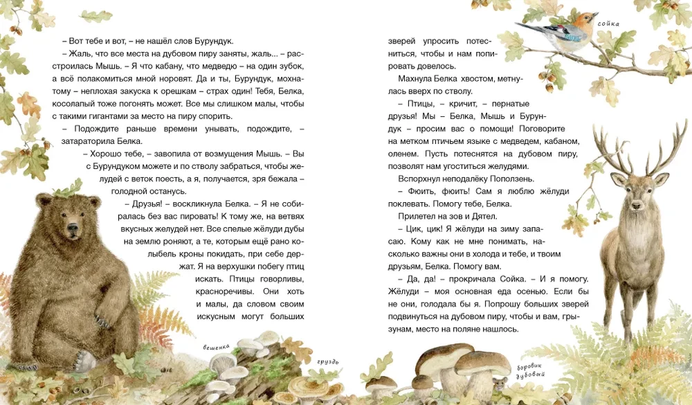 The Forest Tells Tales