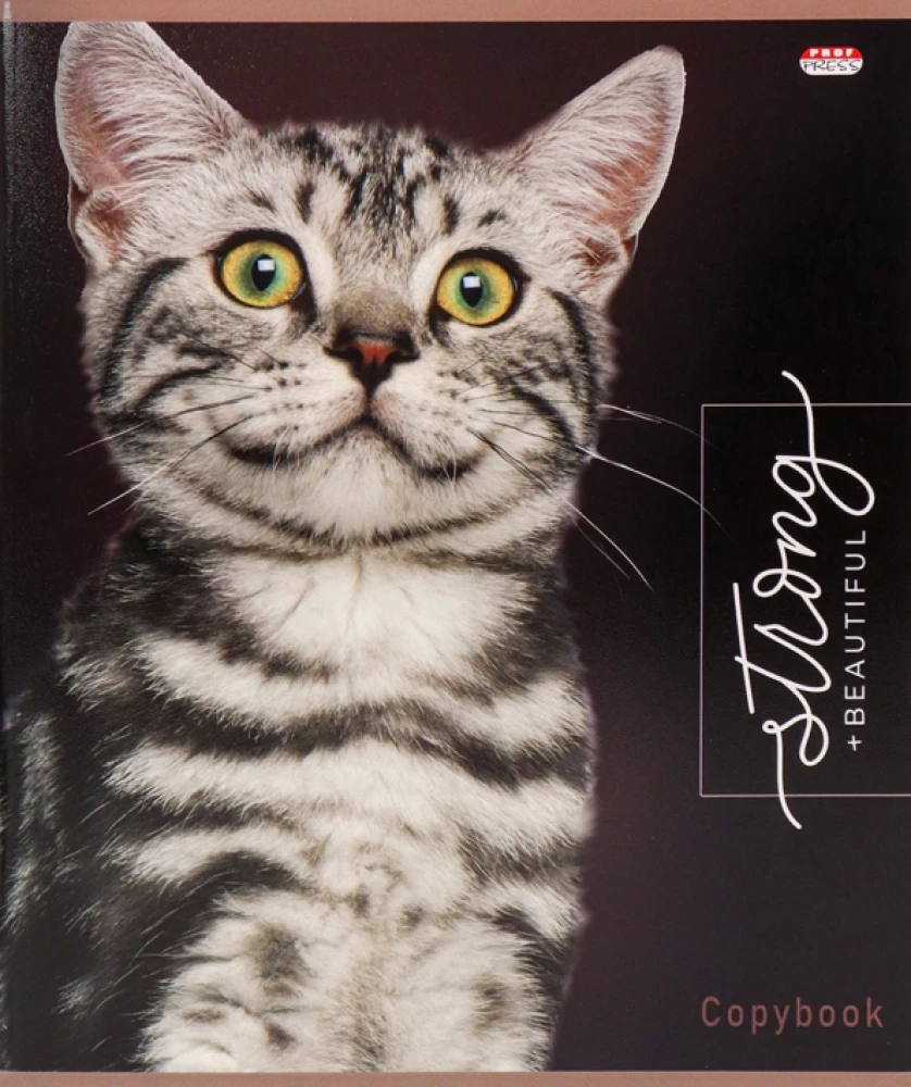 Notizbuch - Edle Katzen, A5, 48 Blätter, kariert, im Sortiment