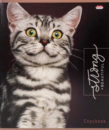 Notizbuch - Edle Katzen, A5, 48 Blätter, kariert, im Sortiment