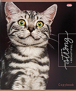 Notizbuch - Edle Katzen, A5, 48 Blätter, kariert, im Sortiment