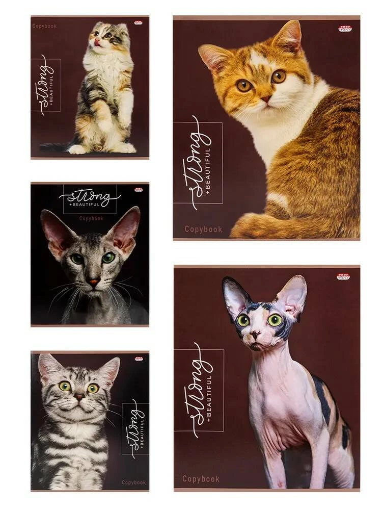 Notizbuch - Edle Katzen, A5, 48 Blätter, kariert, im Sortiment