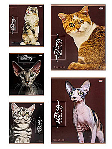 Notizbuch - Edle Katzen, A5, 48 Blätter, kariert, im Sortiment